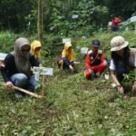 Pada penyelenggaraan tahun 2025, BBF berhasil menjaring peserta dari seluruh Indonesia dan menyeleksi 43 program terbaik yang dinilai memiliki dampak terukur dan keberlanjutan jangka panjang.