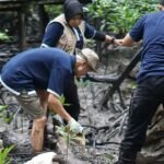 Kolaborasi Telkom dan AYS Indonesia Dorong Pemulihan Ekosistem Alam di Tarakan