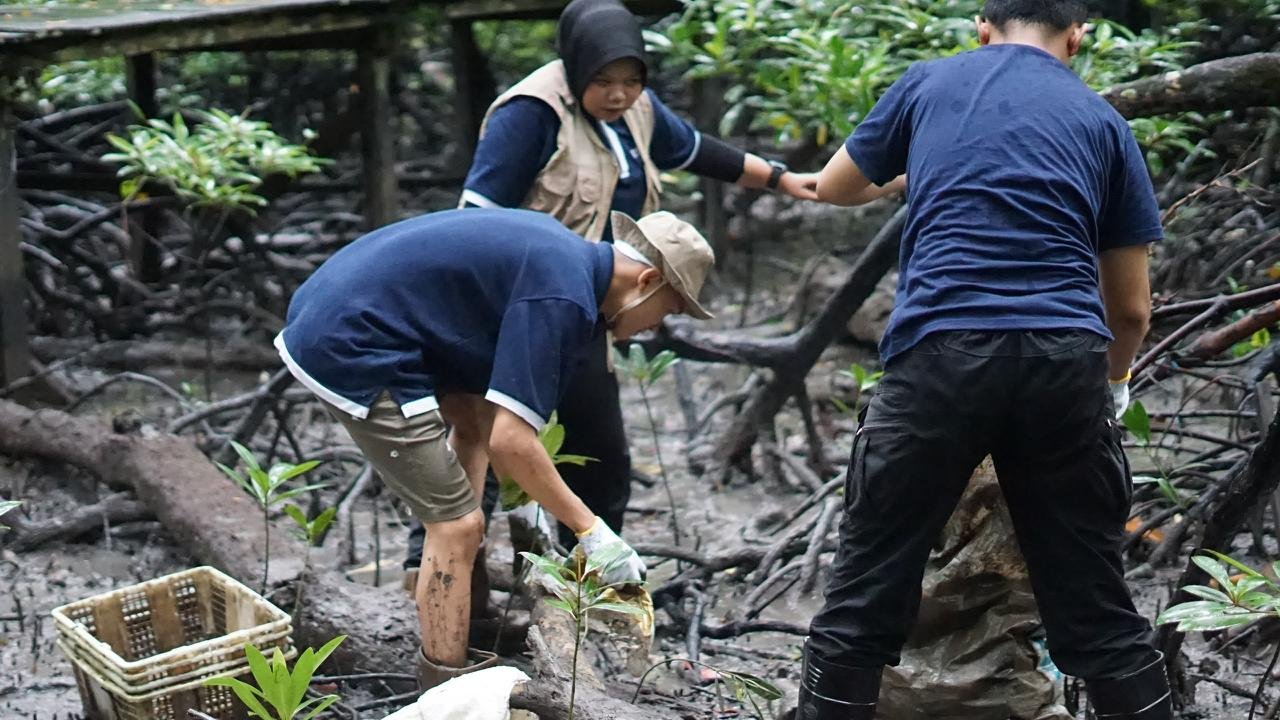 Kolaborasi Telkom dan AYS Indonesia Dorong Pemulihan Ekosistem Alam di Tarakan Kolaborasi Telkom dan AYS Indonesia Dorong Pemulihan Ekosistem Alam di Tarakan
